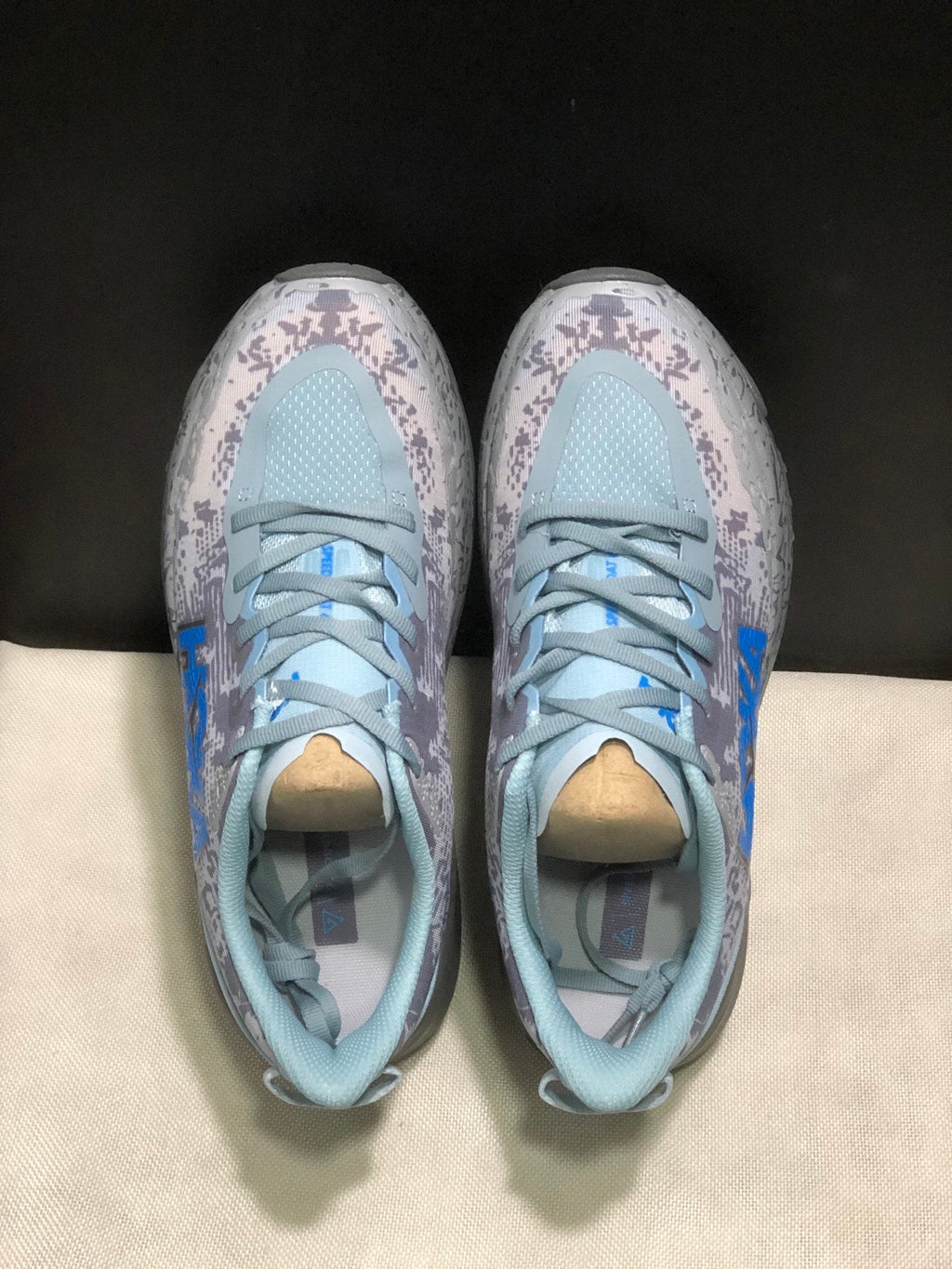 HOKA ONE ONE SPEED GOAT 6